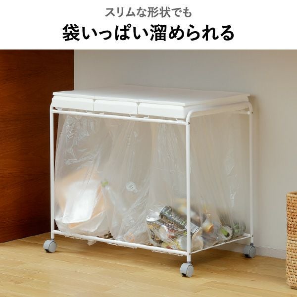 RISU リス 2分別フレームダストワゴン フタ付き | インテリア雑貨・ゴミ箱