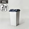 ハンドル付 分別ペール 45L 2個セット | インテリア雑貨・ゴミ箱
