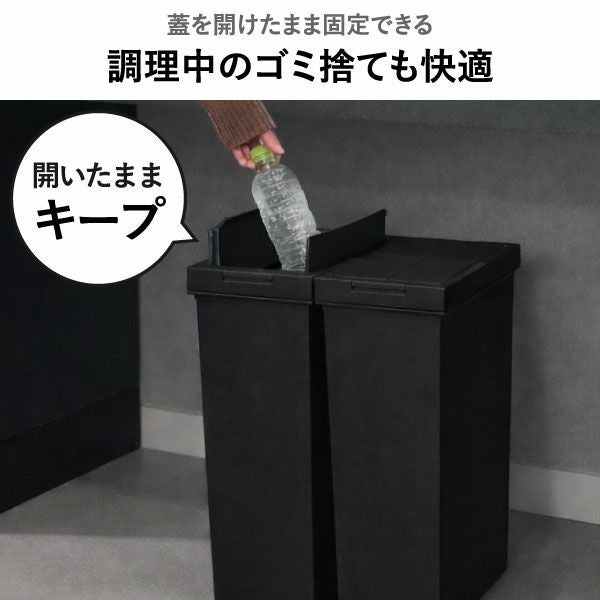 ASVEL アスベル 両開きダストボックス 20L | インテリア雑貨・ゴミ箱