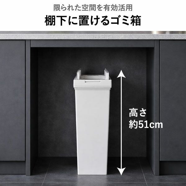 ASVEL アスベル 両開きダストボックス 20L 2個セット | インテリア雑貨・ゴミ箱