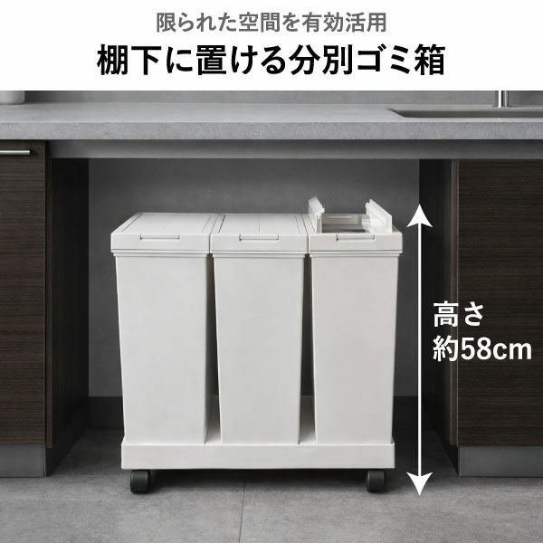 ASVEL アスベル 両開き3分別ダストワゴン キャスター付き | インテリア雑貨・ゴミ箱
