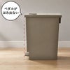 プッシュ&ペダル ダストボックス 45L | インテリア雑貨・ゴミ箱